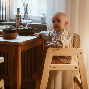 Highchair Rattan